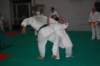 img_6227_small.jpg