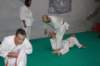 img_6255_small.jpg