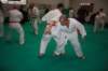 img_6287_small.jpg