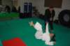 img_6290_small.jpg