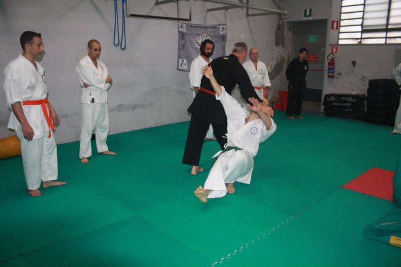 img_6293.jpg