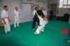 img_6293_small.jpg