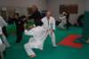 img_6298_small.jpg