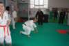 img_6306_small.jpg