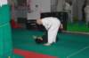 img_6313_small.jpg