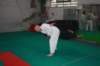 img_6318_small.jpg