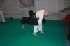 img_6323_small.jpg