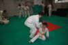 img_6333_small.jpg