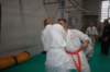 img_6335_small.jpg