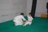 img_6340_small.jpg