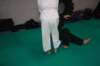 img_6346_small.jpg