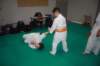 img_6350_small.jpg
