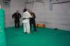 img_6371_small.jpg