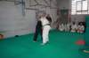 img_6377_small.jpg