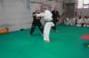 img_6379_small.jpg