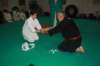 img_6383_small.jpg