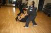 img_6100_small.jpg
