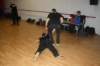img_6127_small.jpg