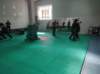 img_20220528_100404_small.jpg