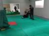 img_20220528_100540_small.jpg