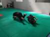img_20220528_101501_small.jpg