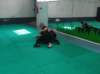 img_20220528_103844_small.jpg