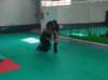 img_20220528_104034_small.jpg