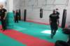 img_4514_small.jpg