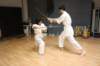 img_4950_small.jpg
