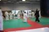 img_2390_small.jpg