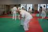 img_2500_small.jpg
