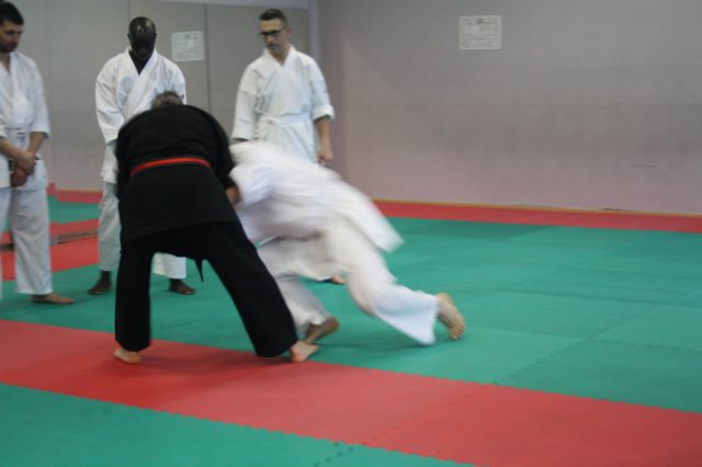 img_2510.jpg