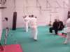 img_20190512_101434_small.jpg
