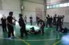 img_2778_small.jpg