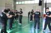 img_2962_small.jpg