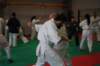 img_4182_small.jpg