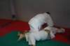 img_4200_small.jpg