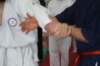 img_4244_small.jpg