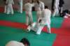 img_4261_small.jpg