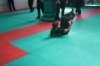 img_5121_small.jpg