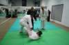 img_4000_small.jpg