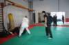 img_4031_small.jpg
