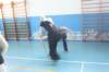 img_4312_small.jpg