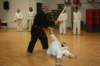 img_5446_small.jpg
