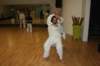 img_5462_small.jpg