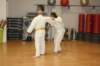img_5463_small.jpg