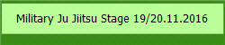 Military Ju Jiitsu Stage 19/20.11.2016